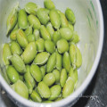 Organic green vegetable bean soybean seeds for planting